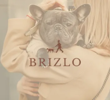 Brislo – referencia