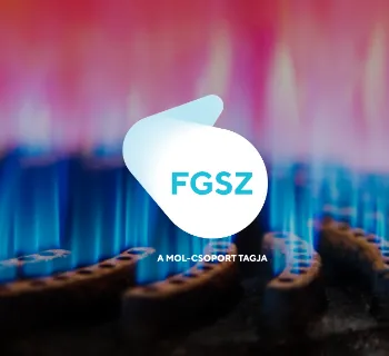 Fgsz – referencia