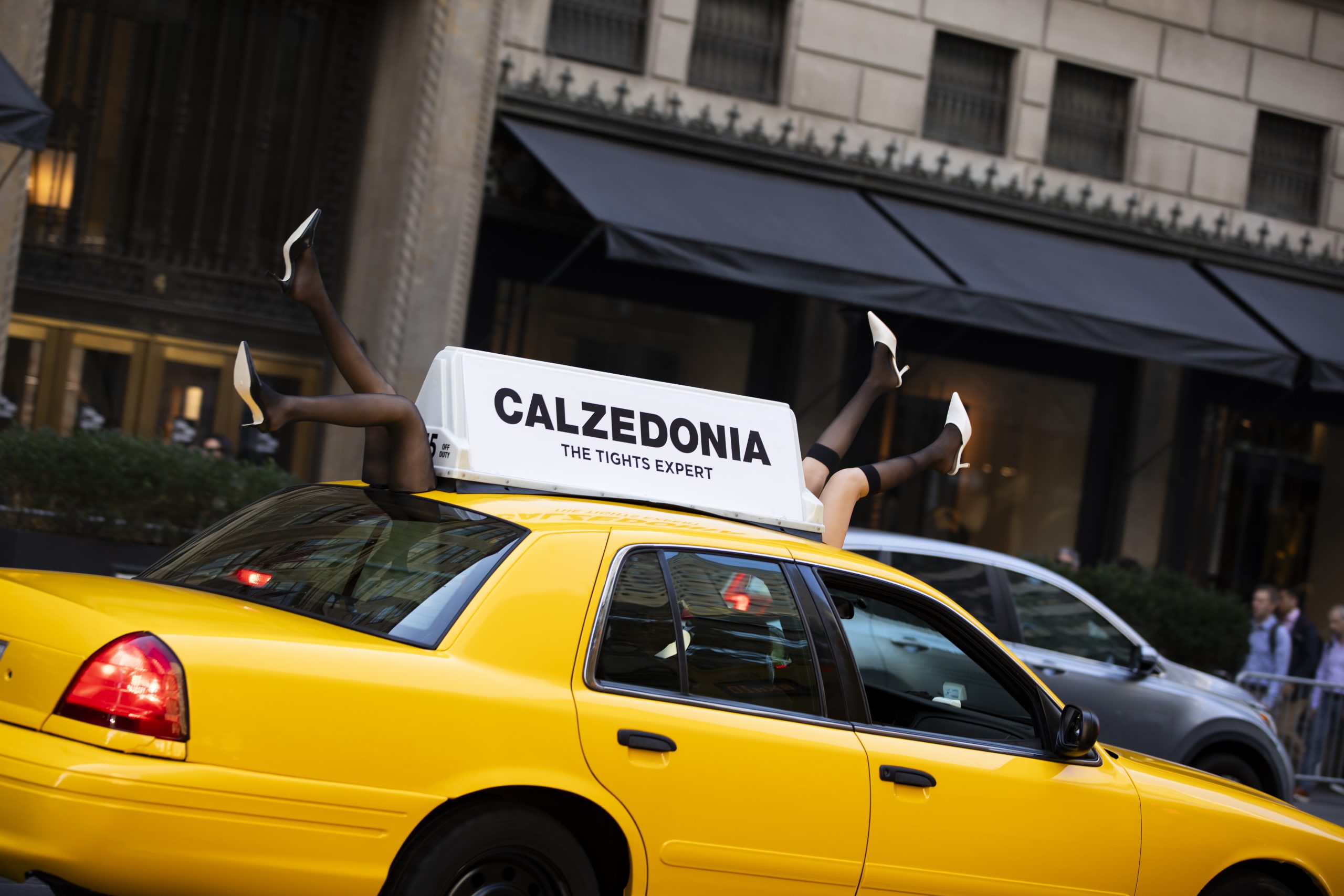 calzedonia calzedonia